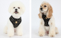 PUPPIA Modern Dotty Harness A PAQA-AC1433